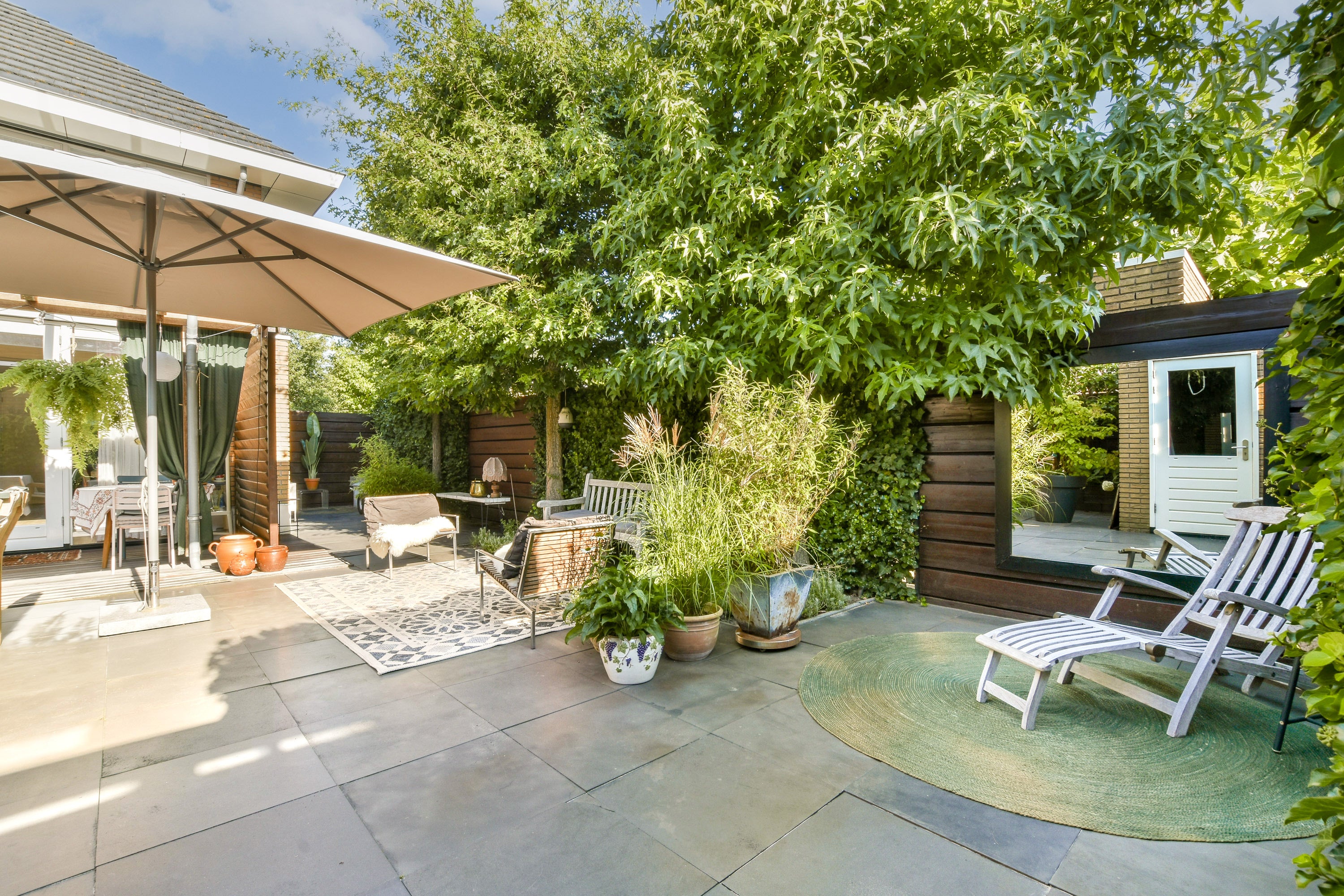 Backyard